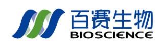 上海百赛生物技术有限公司